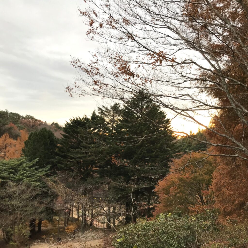 Mt. Rokko